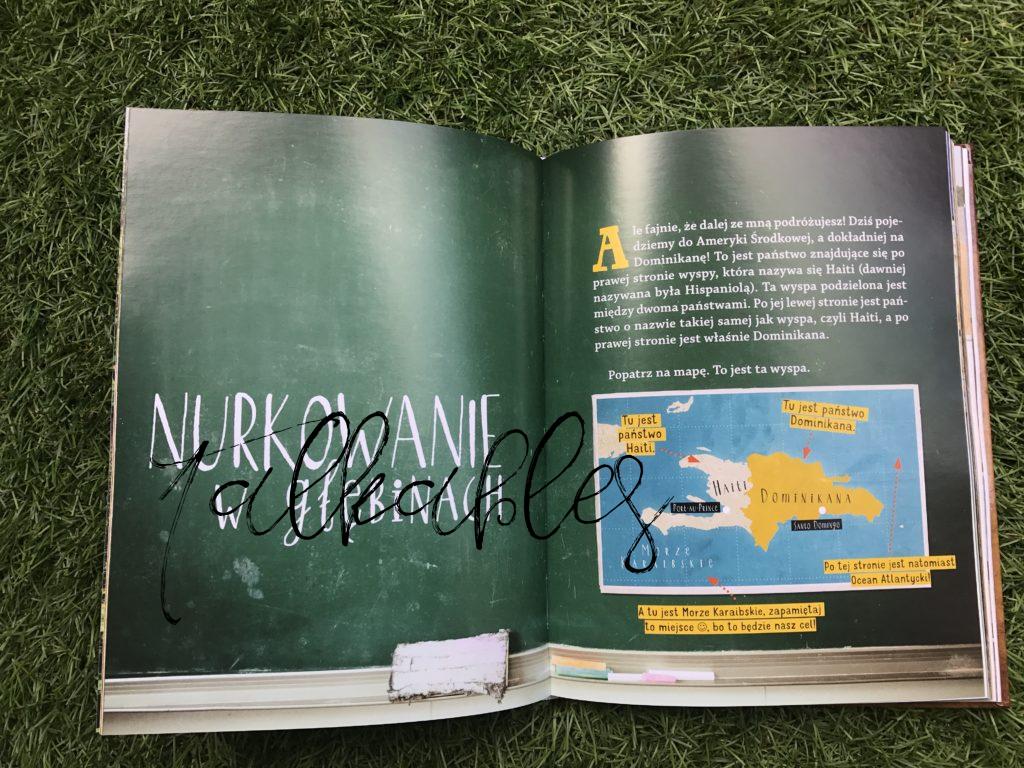 Nela mała reporterka - seria; okładka