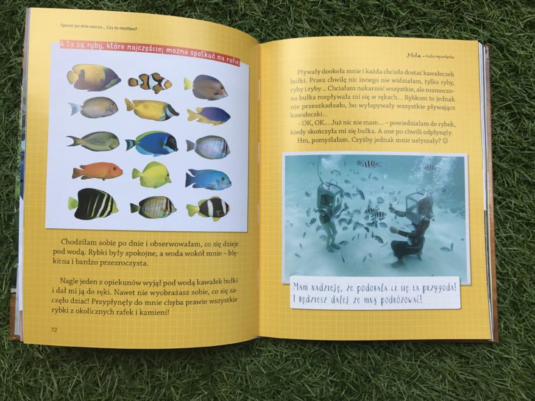 Nela mała reporterka - seria; rafa