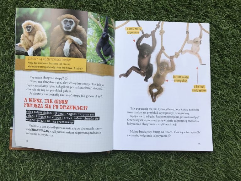 Nela mała reporterka - seria; gibony