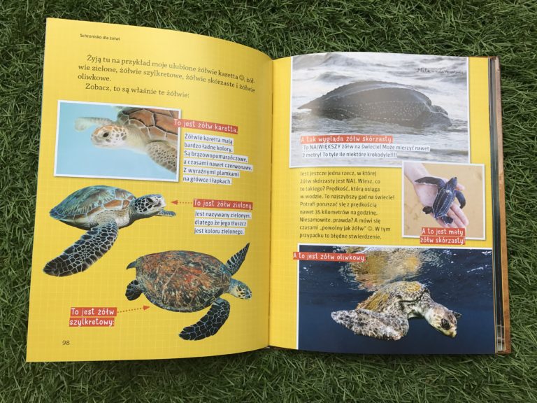 Nela mała reporterka - seria; żółwie