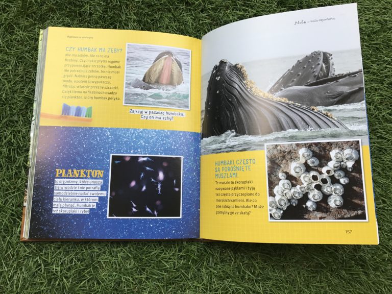 Nela mała reporterka - seria; wieloryby