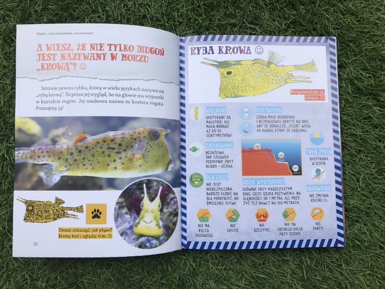 Nela mała reporterka - seria; ryba krowa