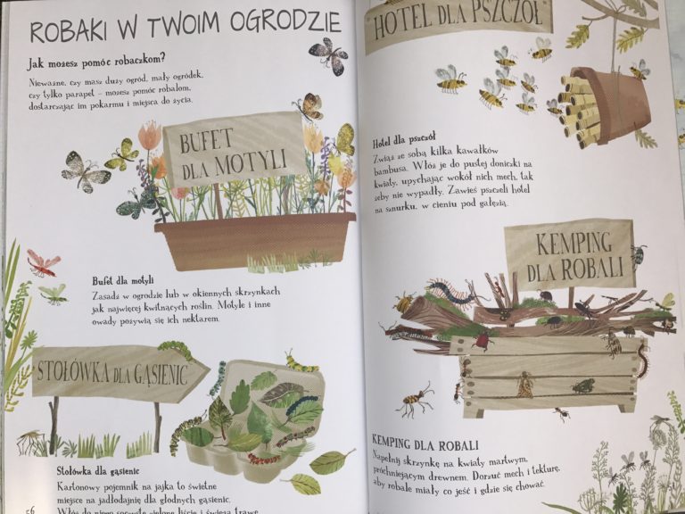 Wielka Księga Robali - Yuval Zommer