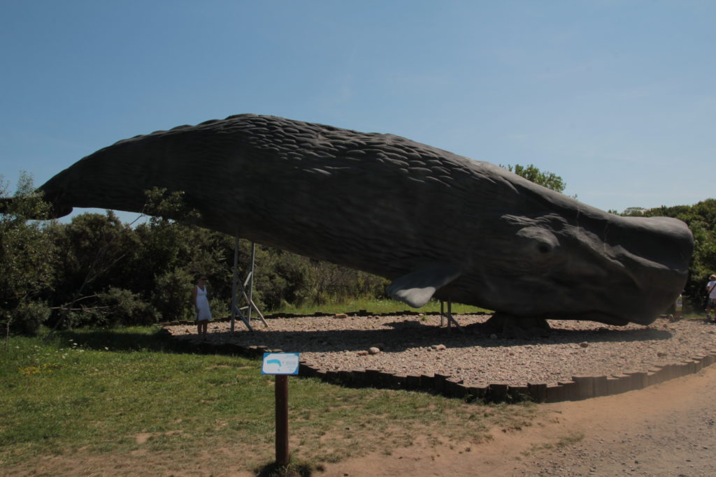 Władysławowo: Ocean Park