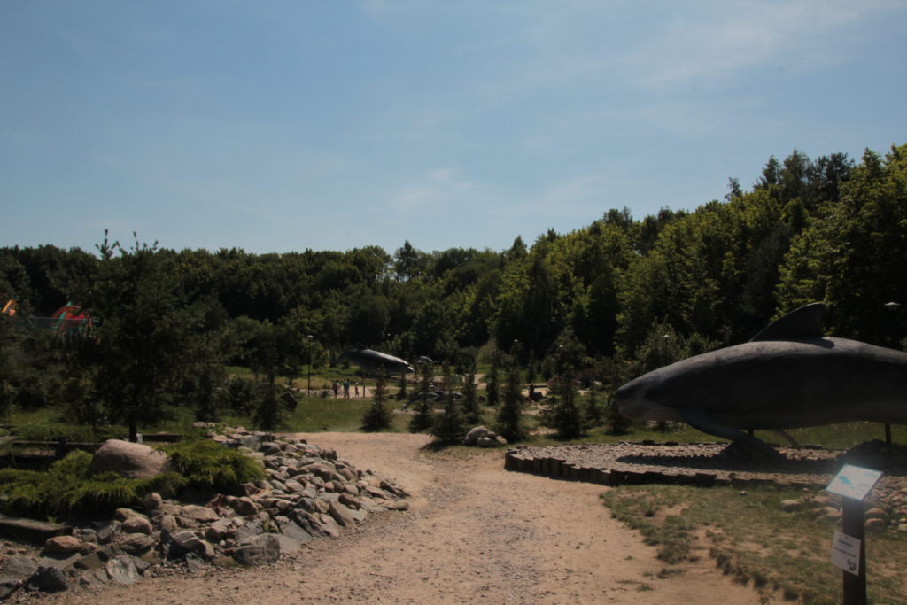 Władysławowo: Ocean Park