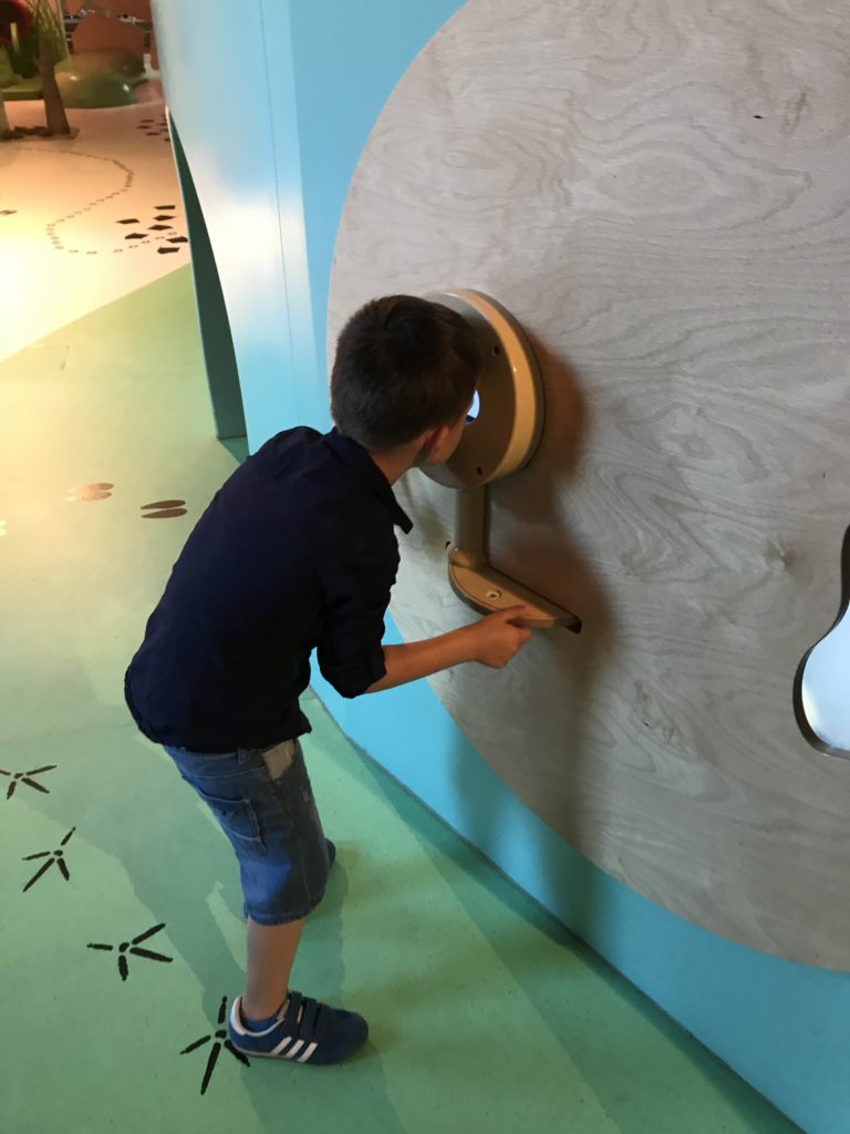 Centrum Nauki Kopernik: galeria bzzz, podglądam przyrodę z bliska