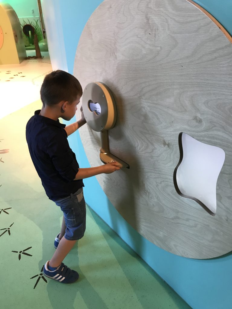 Centrum Nauki Kopernik: galeria bzzz, podglądam przyrodę z bliska