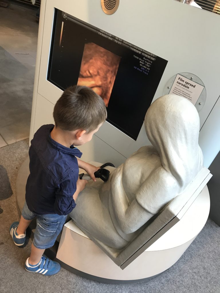 Centrum Nauki Kopernik: usg