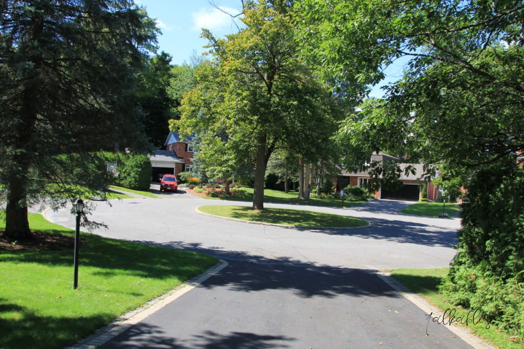 Slow Life in Ottawa_2