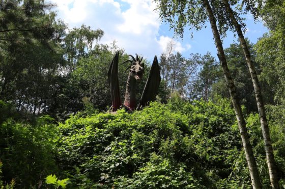 farma iluzji - head2