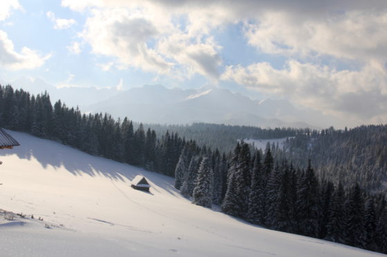Białka Tatrzańska - head