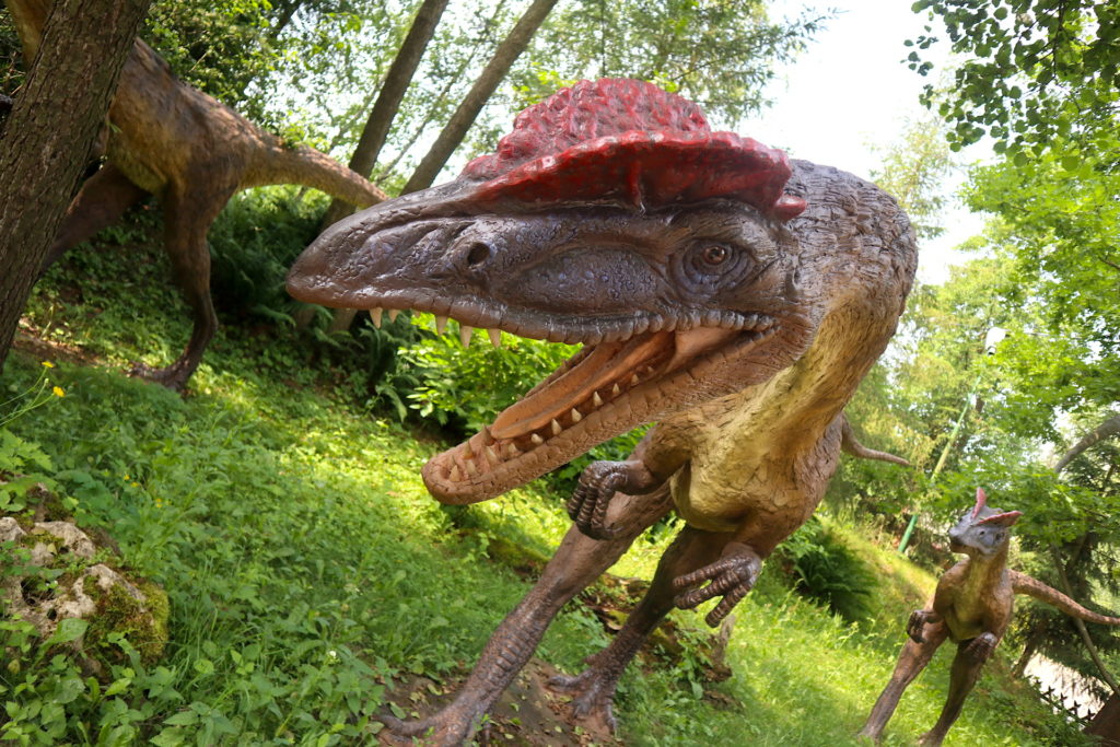 Jurapark w Bałtowie -3