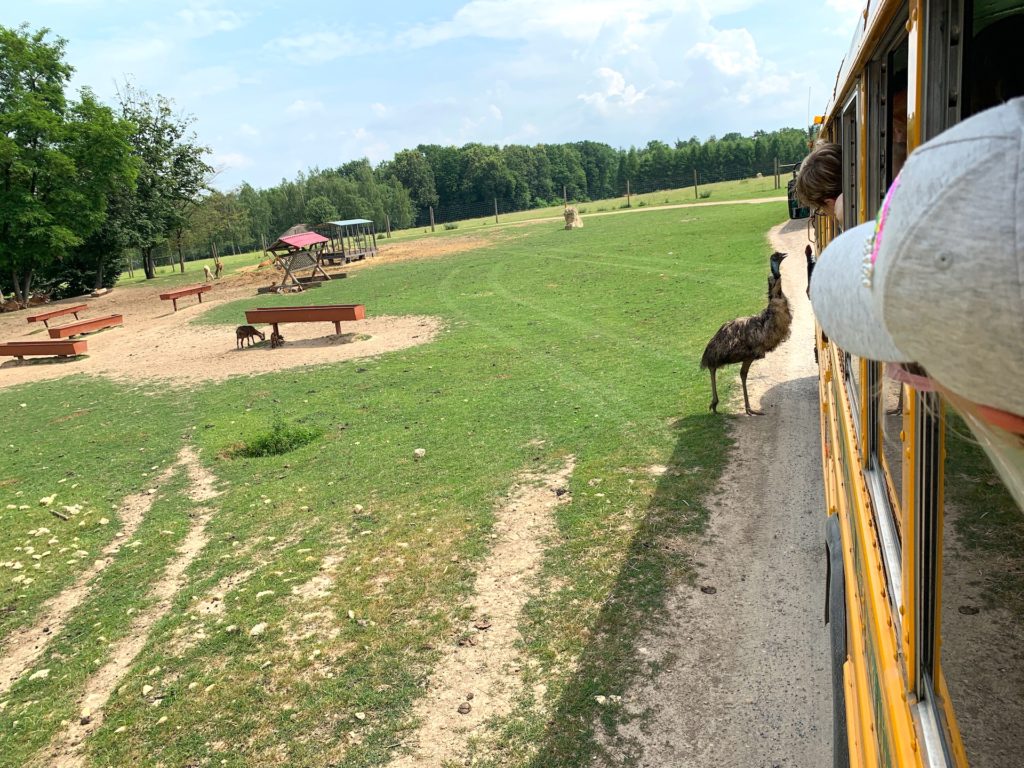 Jurapark w Bałtowie - 4