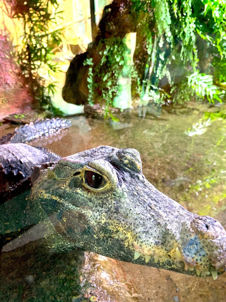 Talkables_podróże autem_162