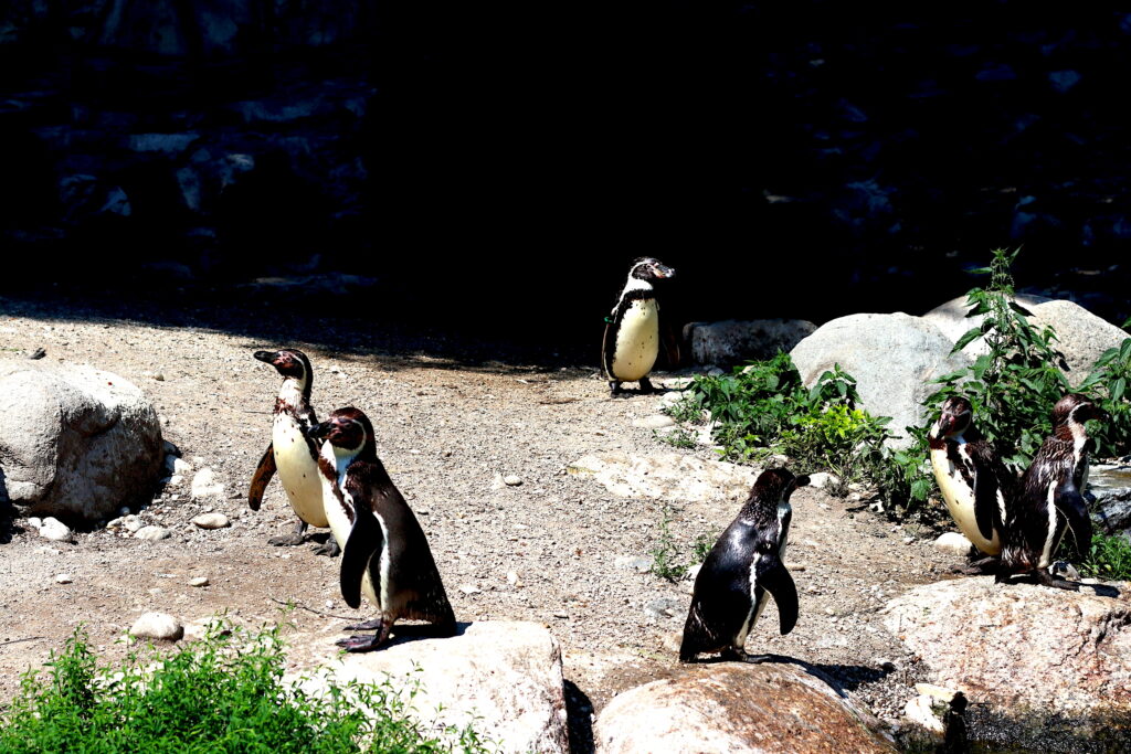 Talkables_podróże autem_34