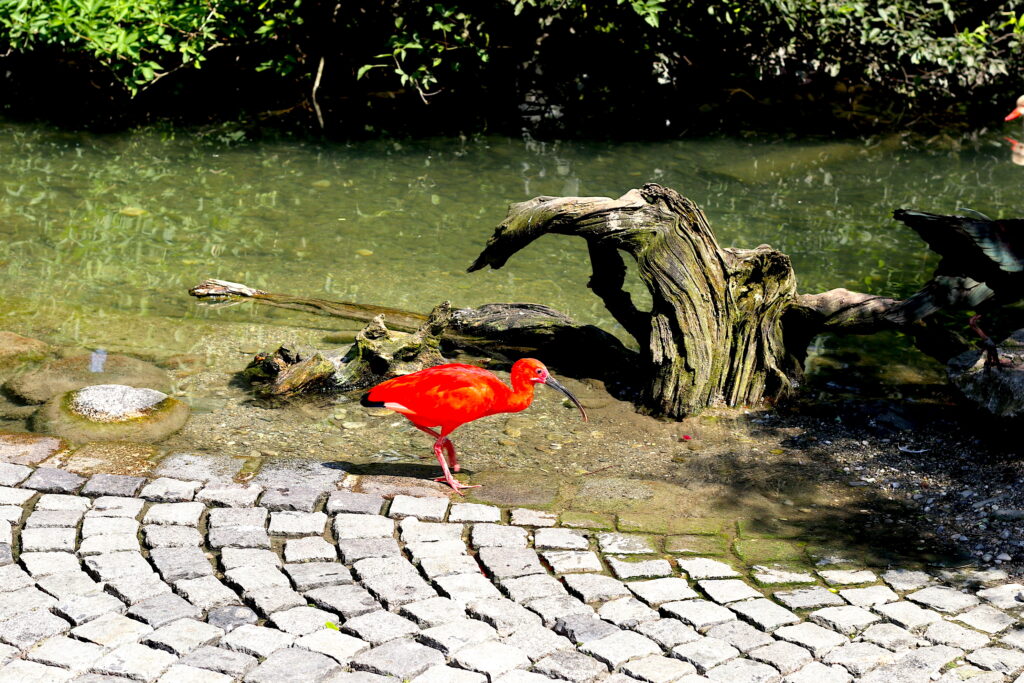 Talkables_podróże autem_35