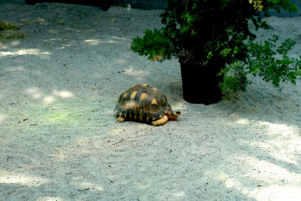 Talkables_podróże autem_36