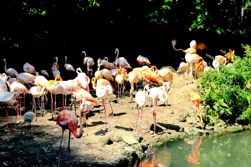 Talkables_podróże autem_37