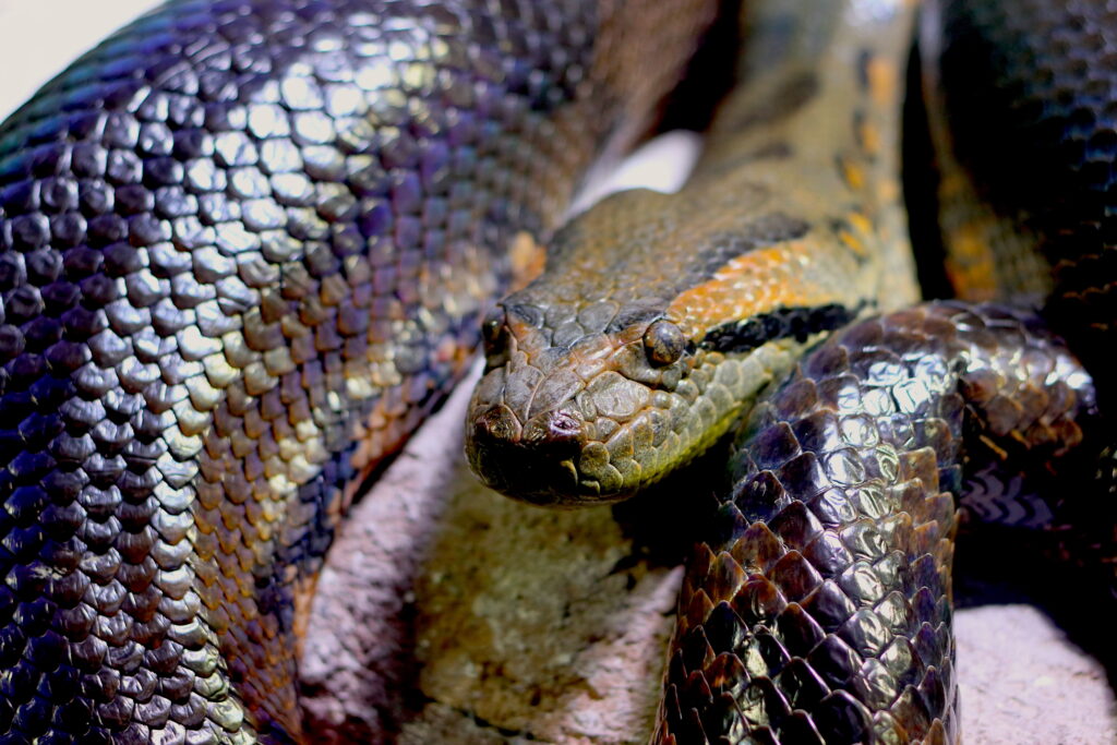 Talkables_podróże autem_40