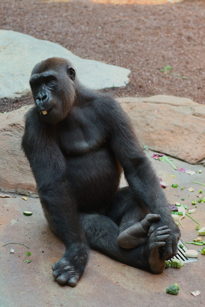 Talkables_podróże autem_41