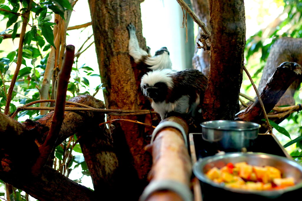 Talkables_podróże autem_44