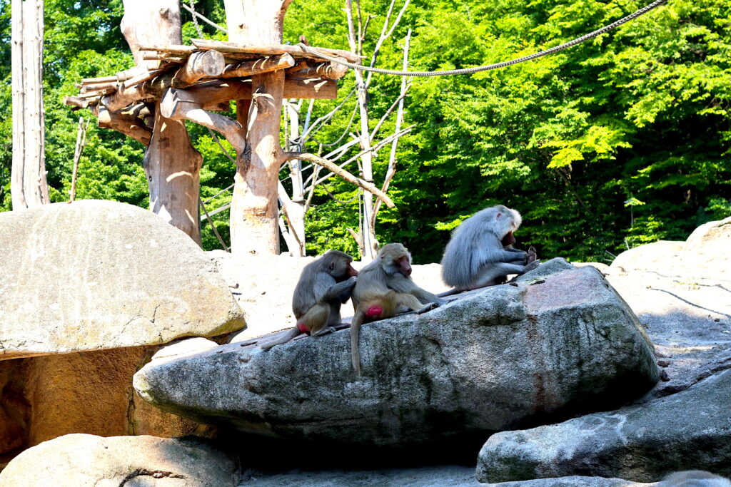 Talkables_podróże autem_46