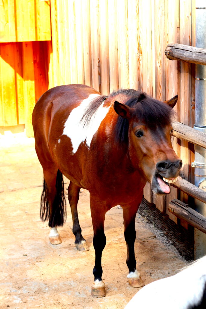 Talkables_podróże autem_50