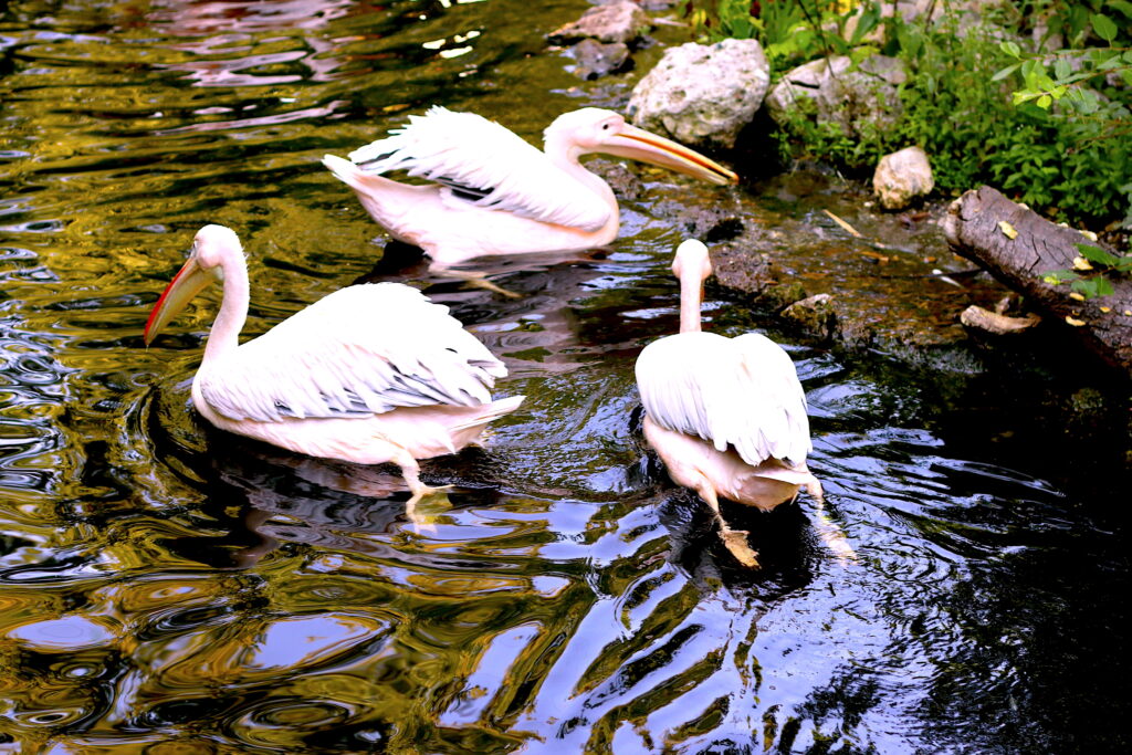 Talkables_podróże autem_53