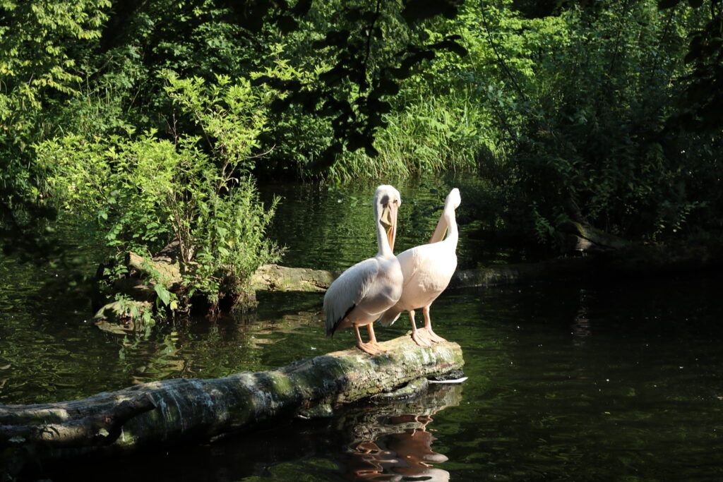 Talkables_podróże autem_54