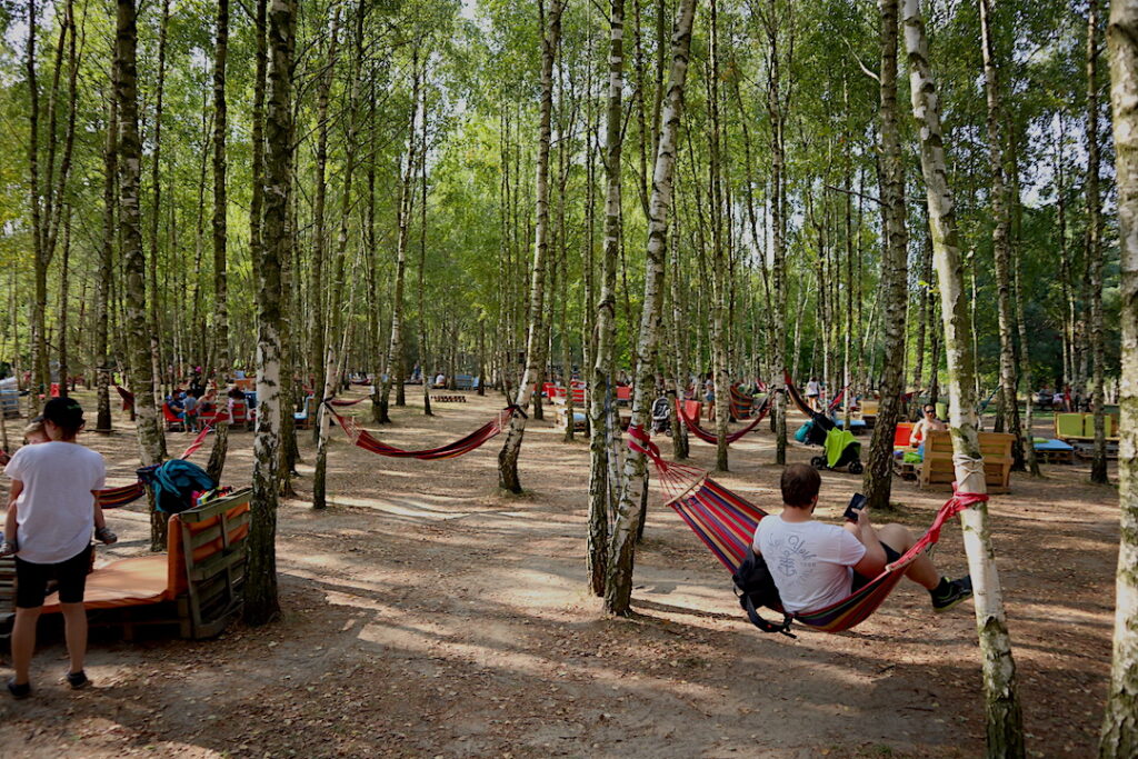 Rodzinne parki rozrywki - sady klemensa