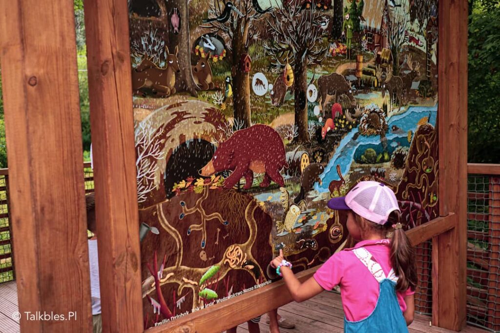 Park "Dolina Wkry" - 63