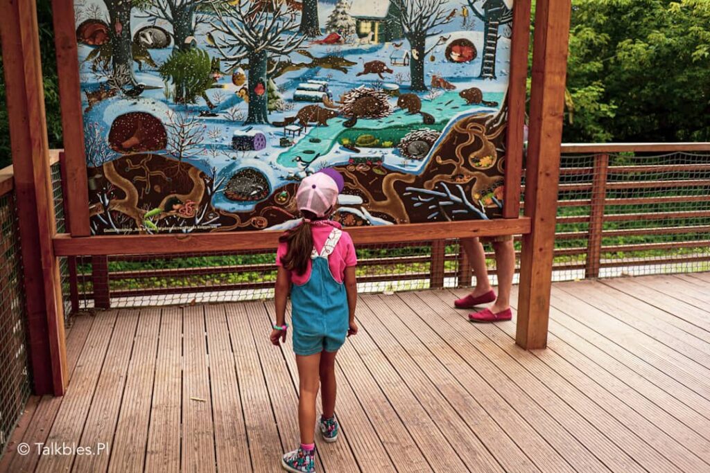 Park "Dolina Wkry" - 68