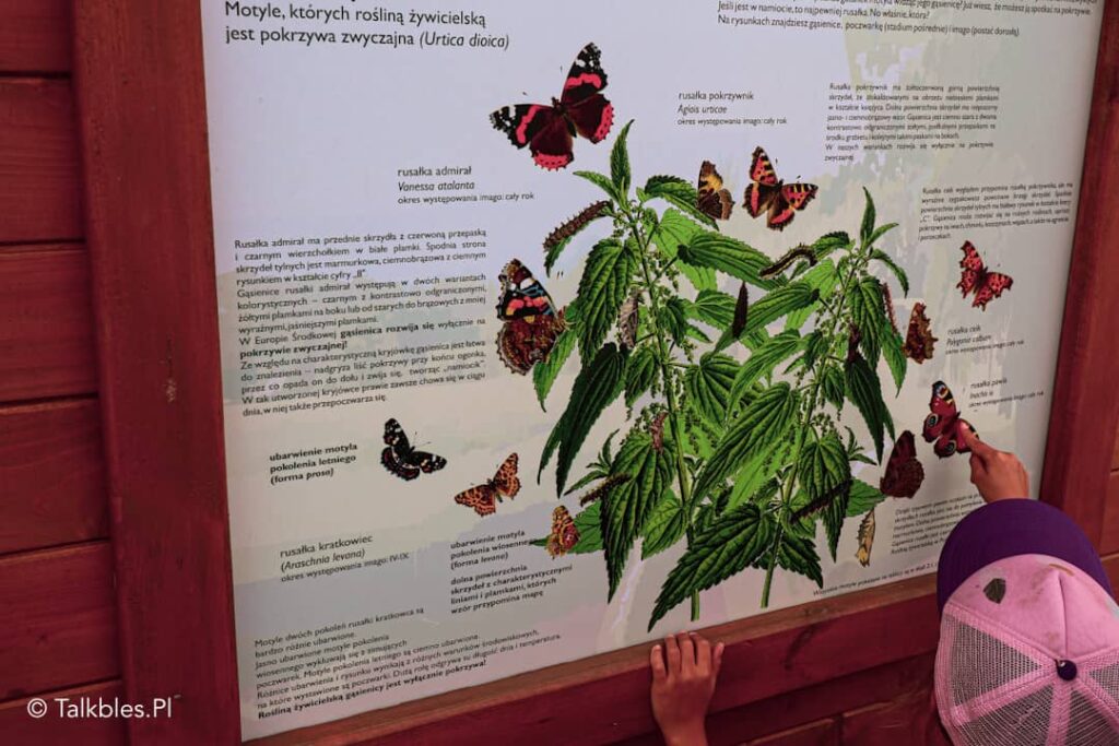 Park "Dolina Wkry" - 62