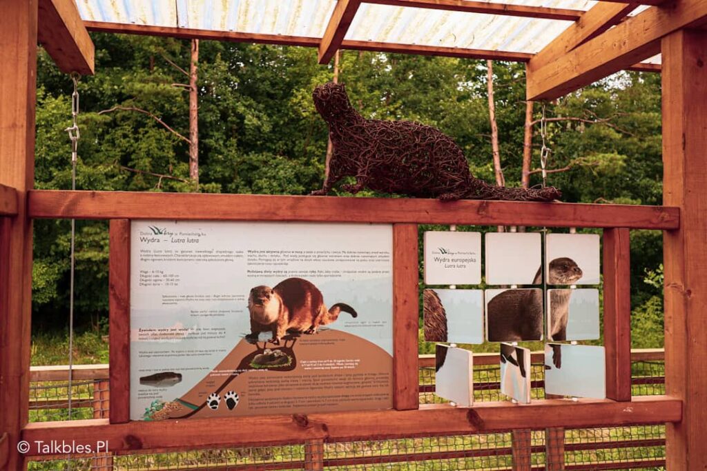 Park "Dolina Wkry" - 65