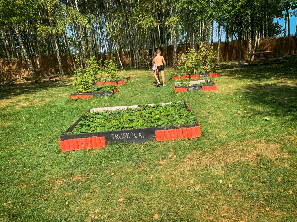 baśniowe sady klemensa - talkables-06