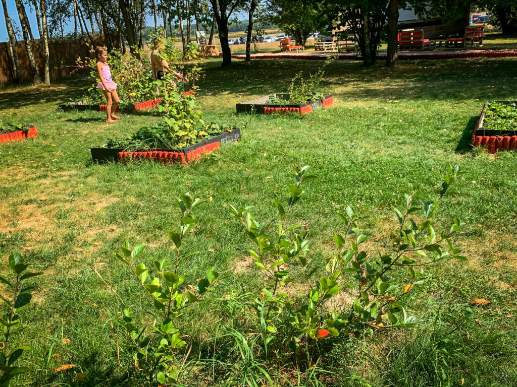 baśniowe sady klemensa - talkables-07