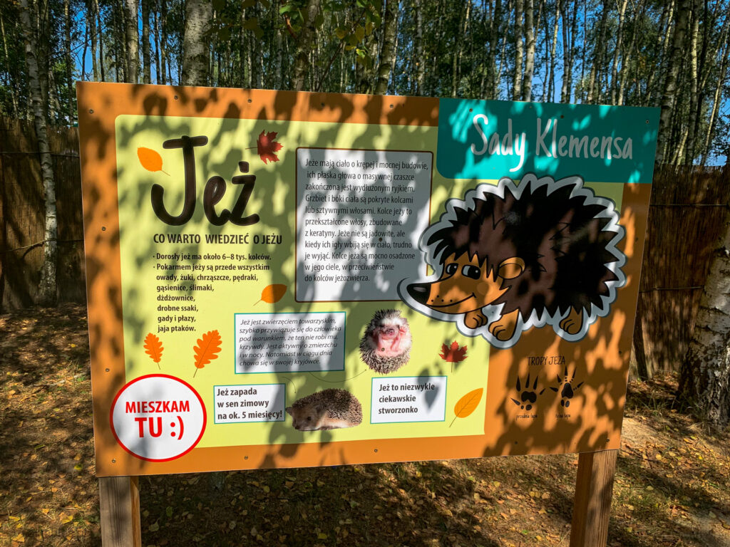 baśniowe sady klemensa - talkables-08