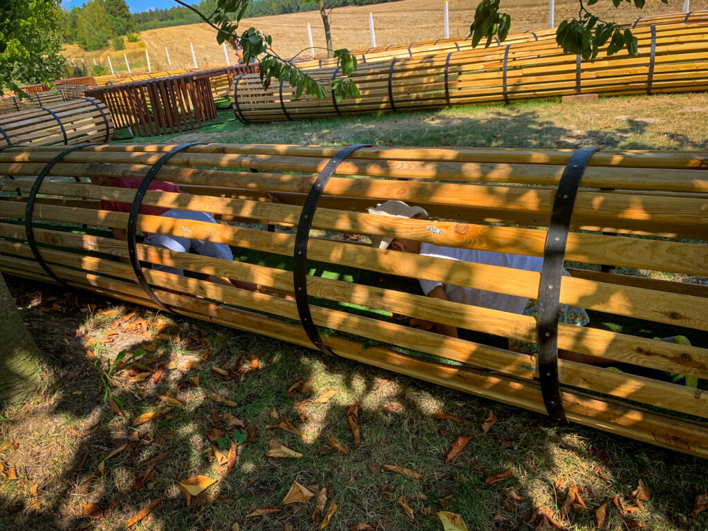 baśniowe sady klemensa - talkables-12