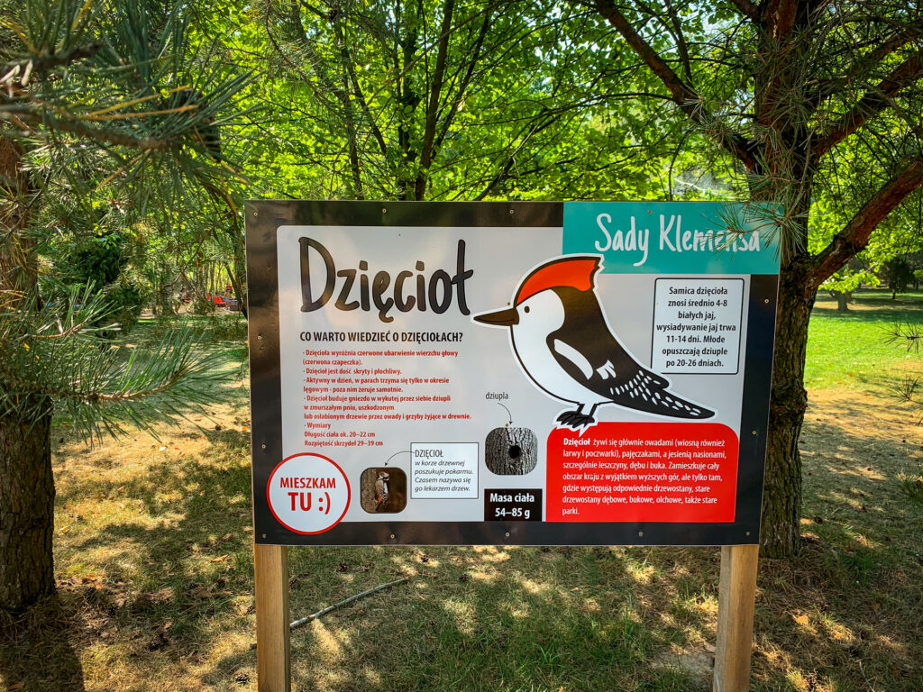 baśniowe sady klemensa - talkables-14