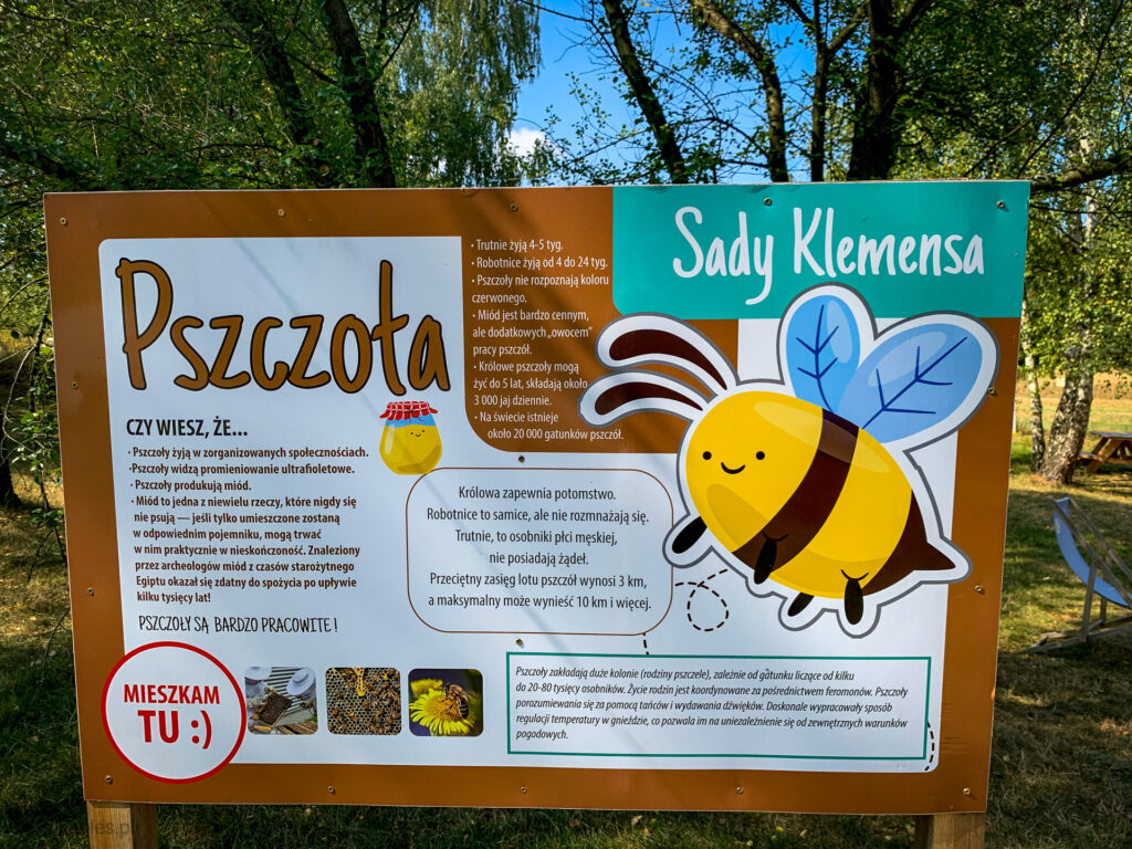 baśniowe sady klemensa - talkables-19