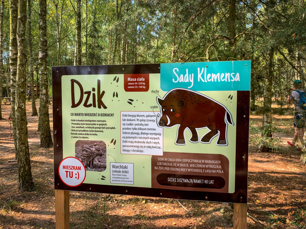 baśniowe sady klemensa - talkables-25