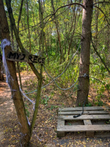 baśniowe sady klemensa - talkables-30