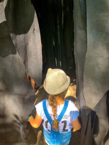 baśniowe sady klemensa - talkables-33