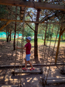 baśniowe sady klemensa - talkables-44