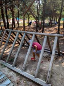 baśniowe sady klemensa - talkables-45