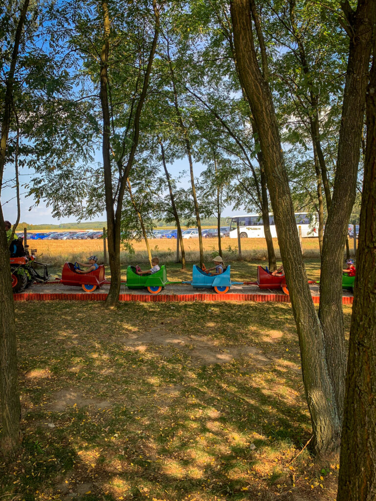 baśniowe sady klemensa - talkables-53