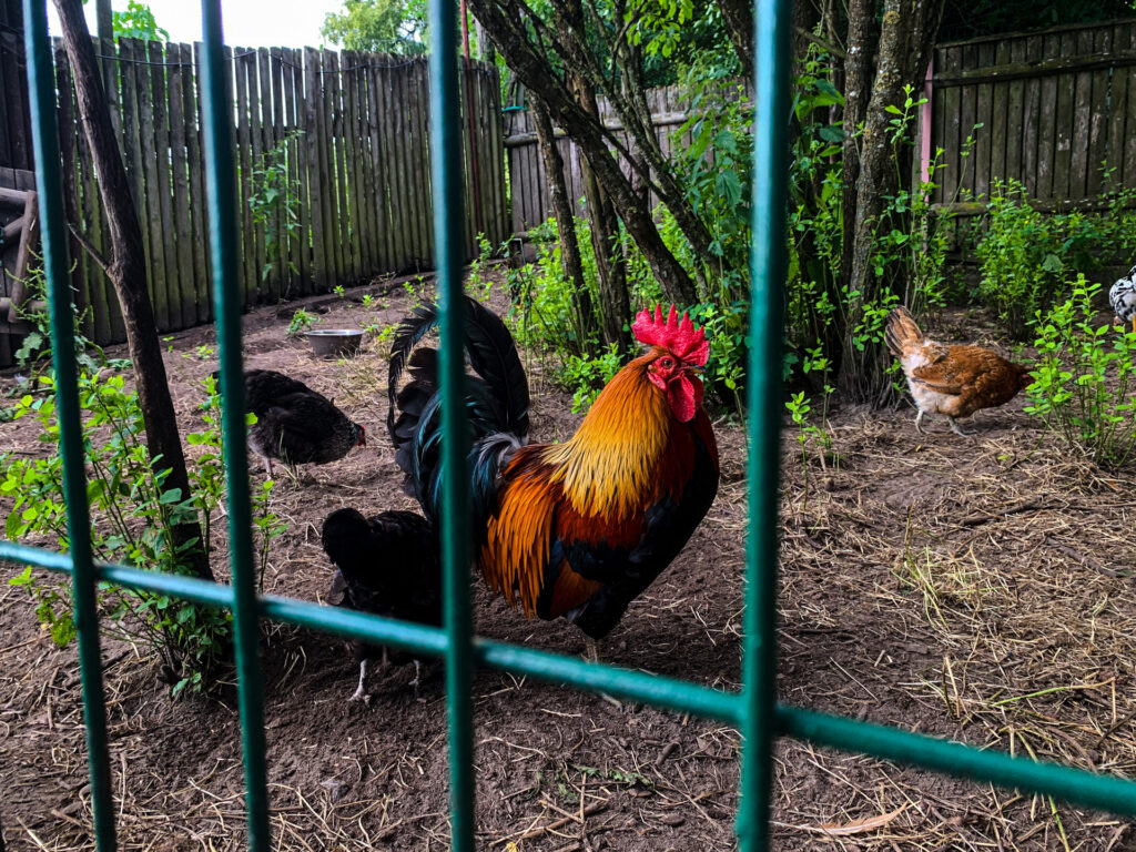 kadzidłowo - talkables-04