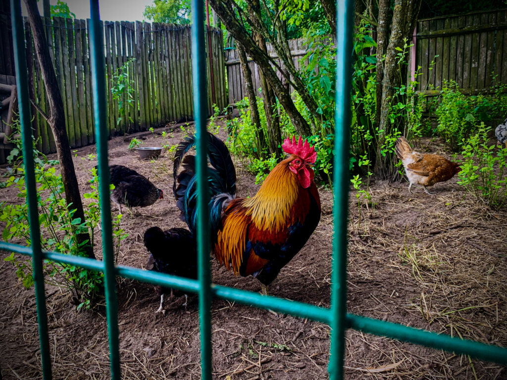 kadzidłowo - talkables-05