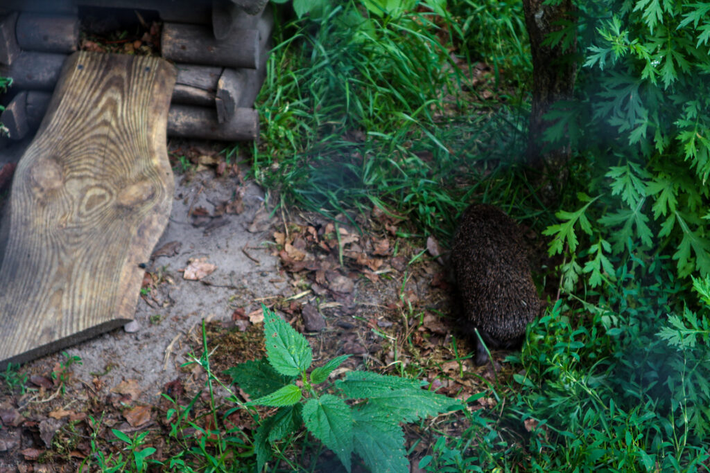 kadzidłowo - talkables-10