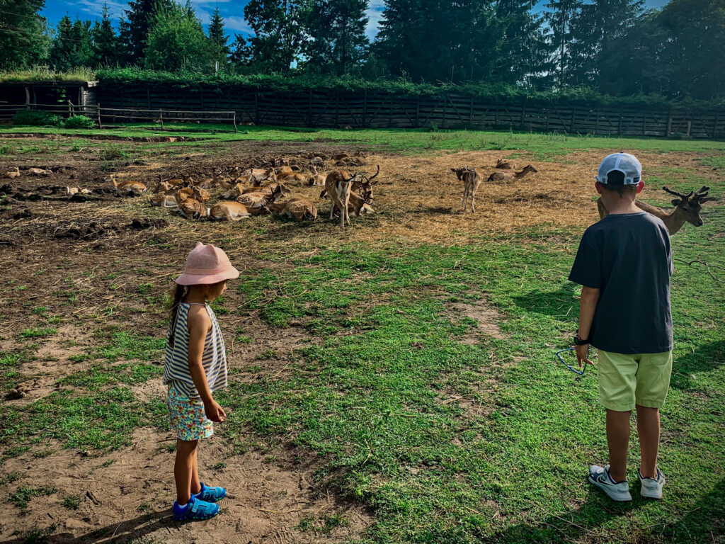 kadzidłowo - talkables-14